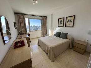 Estupendo apartamento junto a Plaza de España